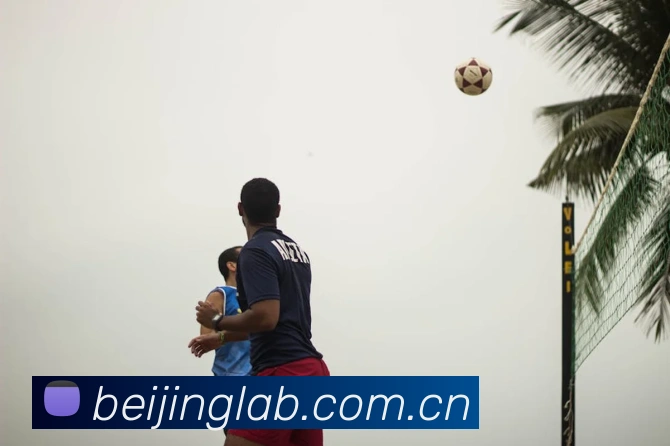 开云线上登录平台入口平台生态图