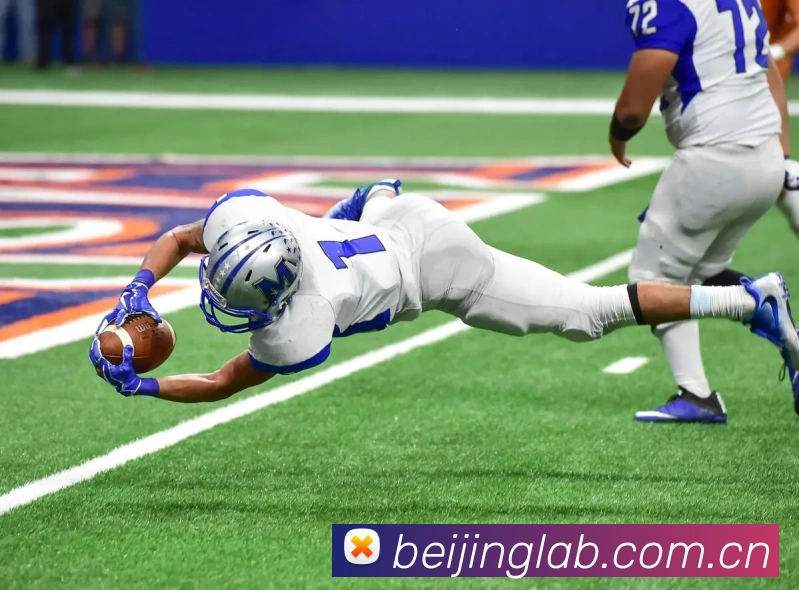 开云线上登录平台入口APP 封面图